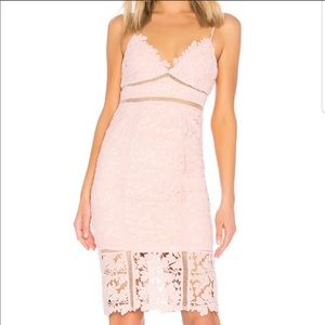 Bardot floral pink cocktail dress